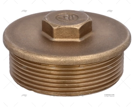 BRASS NUT PLUG  MALE 2