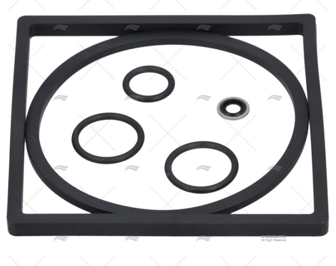 FILTER GASKET SET 2000/10