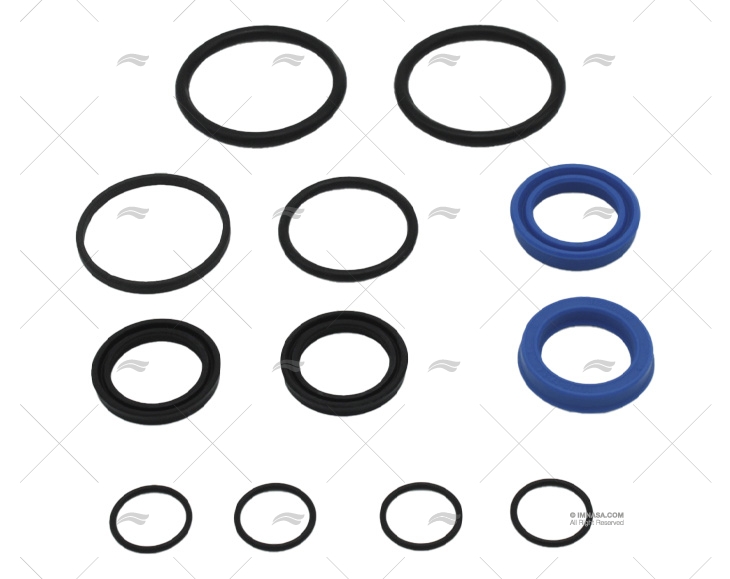 CYLINDER REPAIR  KIT FB300CV LECOMBLE SCHMITT