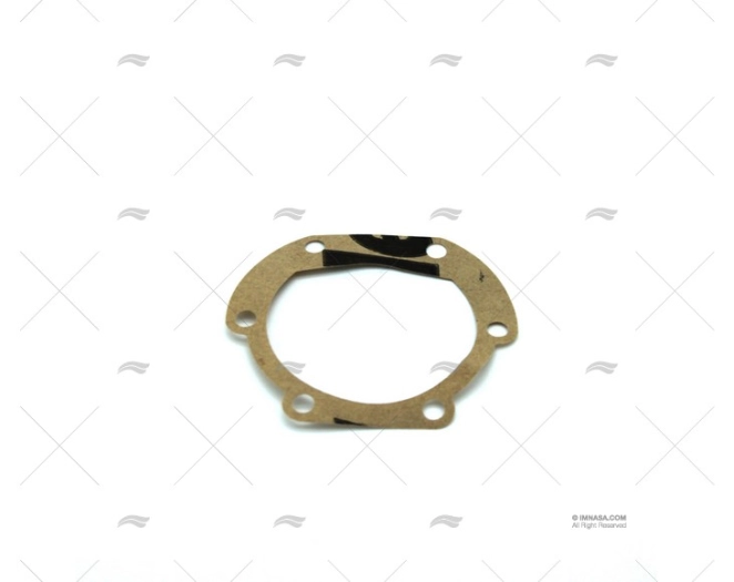 PUMP GASKET F4B-9 JOHNSON - SPX