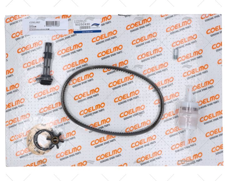 MAINTENANCE KIT DM300 COELMO