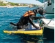 INFLATABLE LADDER FOR DOGS - DOGUP IMNASA