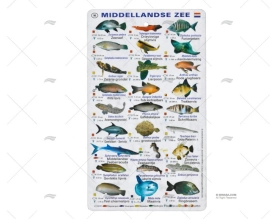 TABLILLA PECES MEDITERRANEO HOLANDES