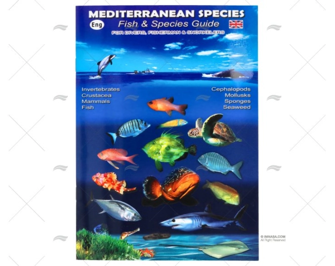 DEPLIANT POISSONS DE MEDITERRANEE ANGLAI