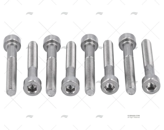 BOLT DIN912 A4 4x30 (8)