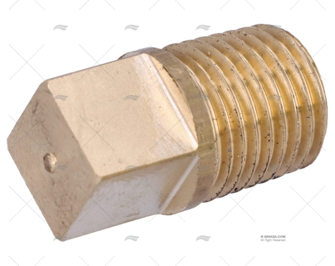 ANODE CAP COOLER CARTERILLAR 1/4" BSPT GUARDIAN