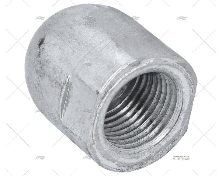 ZINC NUT ANODE RENAULT MAR. SHAFT 40